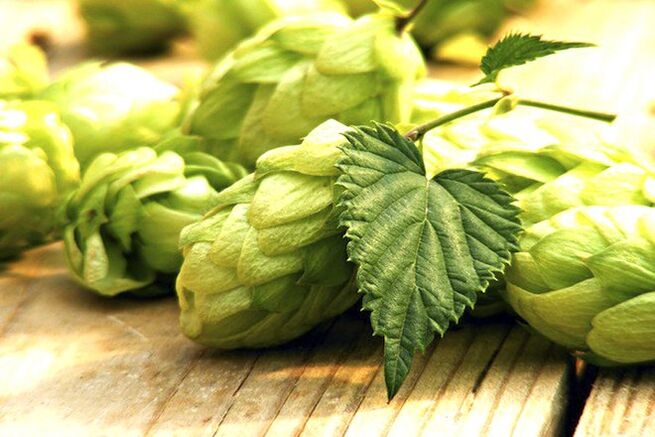 Hop cones will increase the size of the nipple